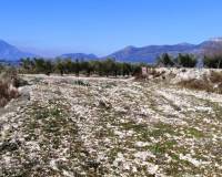 Resale - Plots and Land - Planes