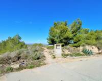 Resale - Plots and Land - San Miguel de Salinas