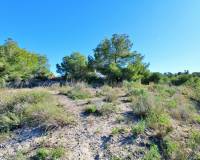 Resale - Plots and Land - San Miguel de Salinas