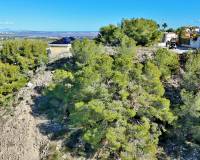 Resale - Plots and Land - San Miguel de Salinas