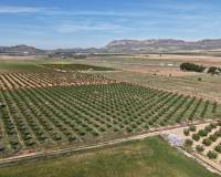 Resale - Plots and Land - Yecla - Yecla Murcia