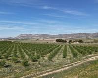 Resale - Plots and Land - Yecla - Yecla Murcia