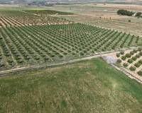 Resale - Plots and Land - Yecla - Yecla Murcia