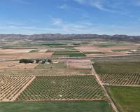 Resale - Plots and Land - Yecla - Yecla Murcia