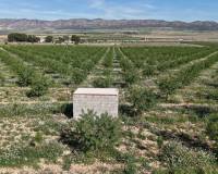 Resale - Plots and Land - Yecla - Yecla Murcia