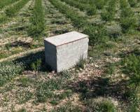 Resale - Plots and Land - Yecla - Yecla Murcia