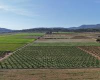 Resale - Plots and Land - Yecla - Yecla Murcia