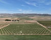 Resale - Plots and Land - Yecla - Yecla Murcia