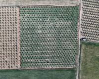 Resale - Plots and Land - Yecla - Yecla Murcia