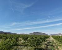 Resale - Plots and Land - Yecla - Yecla Murcia
