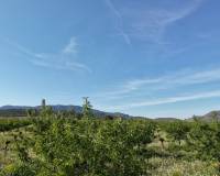 Resale - Plots and Land - Yecla - Yecla Murcia