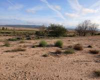 Resale - Plots and Land - Yecla