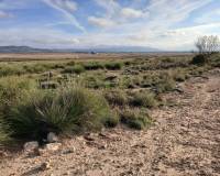 Resale - Plots and Land - Yecla