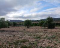 Resale - Plots and Land - Yecla