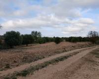 Resale - Plots and Land - Yecla
