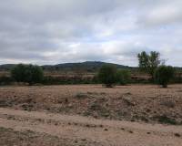 Resale - Plots and Land - Yecla