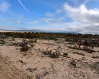 Resale - Plots and Land - Yecla