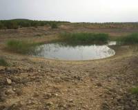 Resale - Plots and Land - Yecla