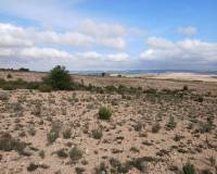 Resale - Plots and Land - Yecla