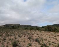 Resale - Plots and Land - Yecla