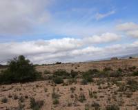 Resale - Plots and Land - Yecla