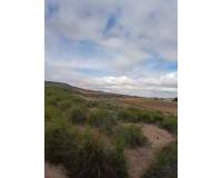 Resale - Plots and Land - Yecla