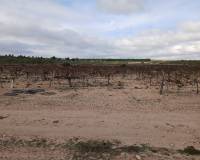 Resale - Plots and Land - Yecla