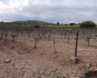 Resale - Plots and Land - Yecla