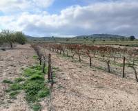 Resale - Plots and Land - Yecla