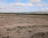 Resale - Plots and Land - Yecla