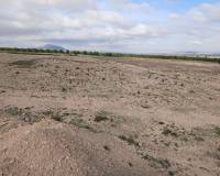 Resale - Plots and Land - Yecla