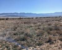 Resale - Plots and Land - Yecla