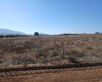 Resale - Plots and Land - Yecla