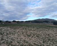 Resale - Plots and Land - Yecla