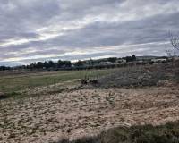 Resale - Plots and Land - Yecla