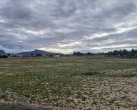 Resale - Plots and Land - Yecla