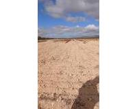 Resale - Plots and Land - Yecla