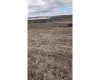 Resale - Plots and Land - Yecla