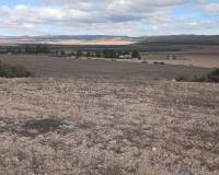 Resale - Plots and Land - Yecla