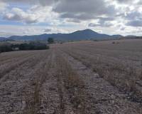 Resale - Plots and Land - Yecla