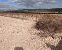 Resale - Plots and Land - Yecla