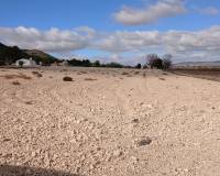 Resale - Plots and Land - Yecla
