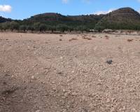 Resale - Plots and Land - Yecla