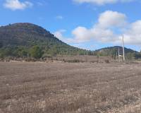 Resale - Plots and Land - Yecla