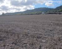 Resale - Plots and Land - Yecla