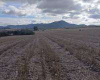 Resale - Plots and Land - Yecla