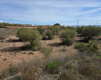 Resale - Plots and Land - Yecla