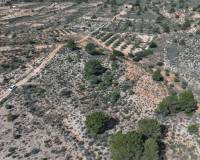 Resale - Plots and Land - Yecla