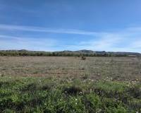 Resale - Plots and Land - Yecla