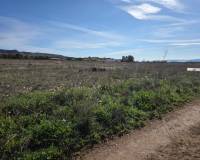 Resale - Plots and Land - Yecla